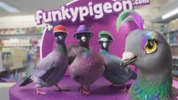 Brand Campaign For Funky Pigeon - thumbnail 3
