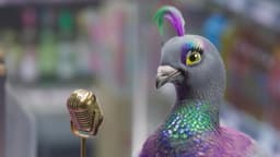 Brand Campaign For Funky Pigeon - thumbnail 4