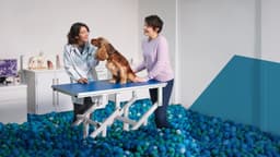 Global Brand Campaign For Tanovea Cancer Treatment - thumbnail 2