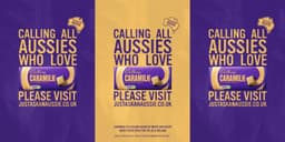 Advertising Campaign For Cadbury Caramilk - thumbnail 2