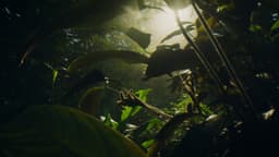 Advertising Campaign For Royal Botanic Gardens Kew - thumbnail 2