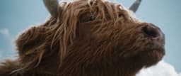 Integrated Campaign For Virgin Media O2’s Wifi Guarantee - thumbnail 4