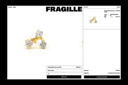 Brand Identity For Fragille Jewellery - thumbnail 6