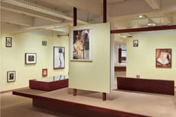 Exhibition Graphics For Fomu Collection - thumbnail 3