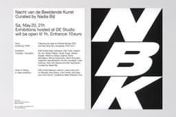 Visual Identity For Nacht Van De Beeldende Kunst - thumbnail 8