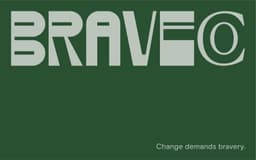Brand Identity For Brave Co. - thumbnail 2