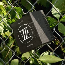 Brand Identity For Wilshire Madison - thumbnail 4