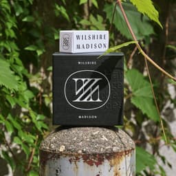 Brand Identity For Wilshire Madison - thumbnail 6