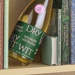 Brand Identity For Dry Wit Beer - thumbnail 6