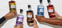 Brand Identity For Du Nord Social Spirits - thumbnail 2