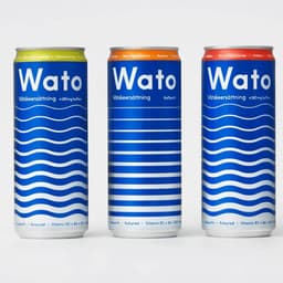 Creating A New Visual Identity For Wato cover image