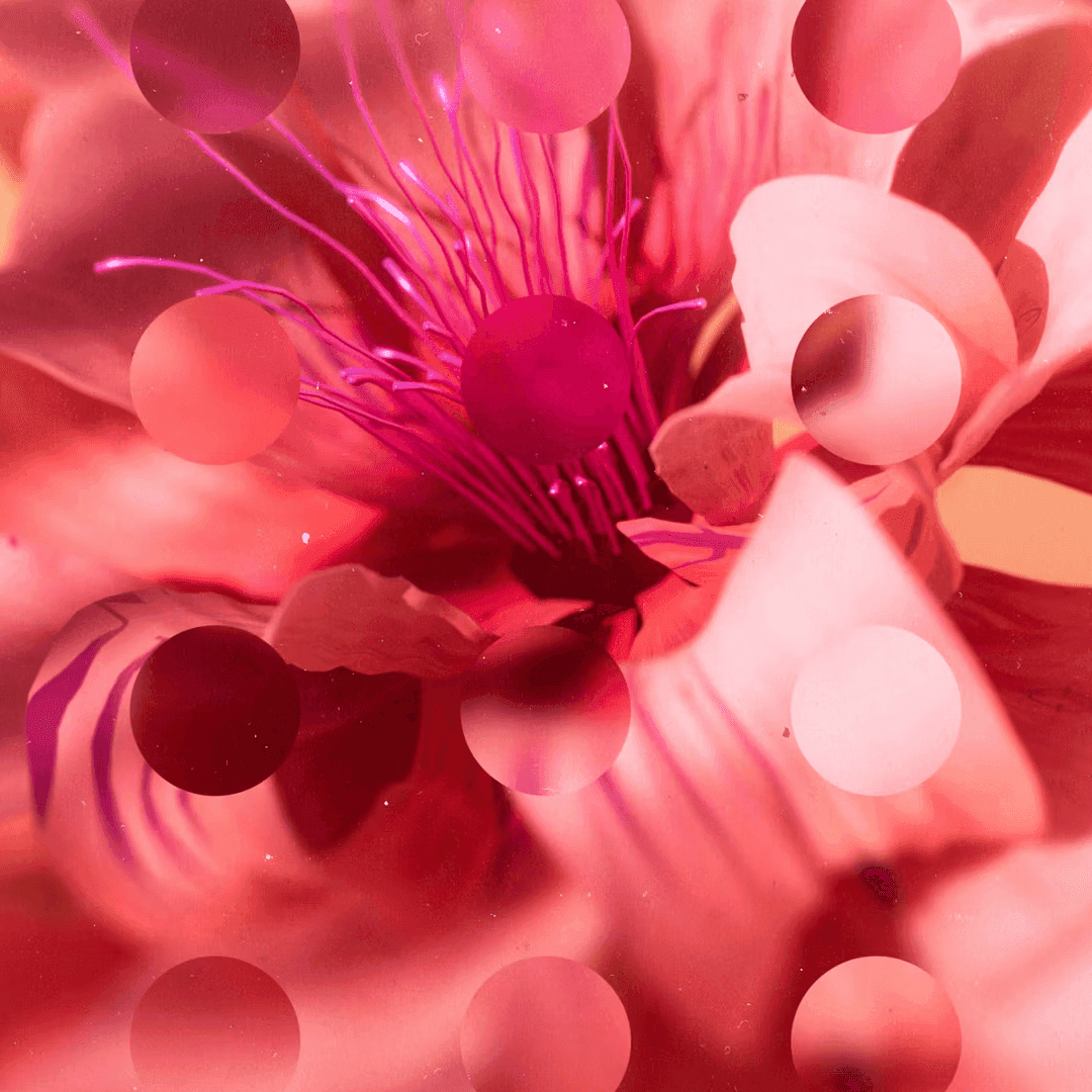 Biophilia-inspired Design System For Print Awards 2025