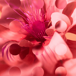 A Biophilia-inspired Design System For Print Magazine cover image