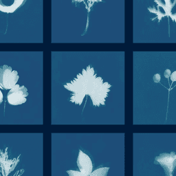 Visual Identity For A Community Gardening Initiative cover image