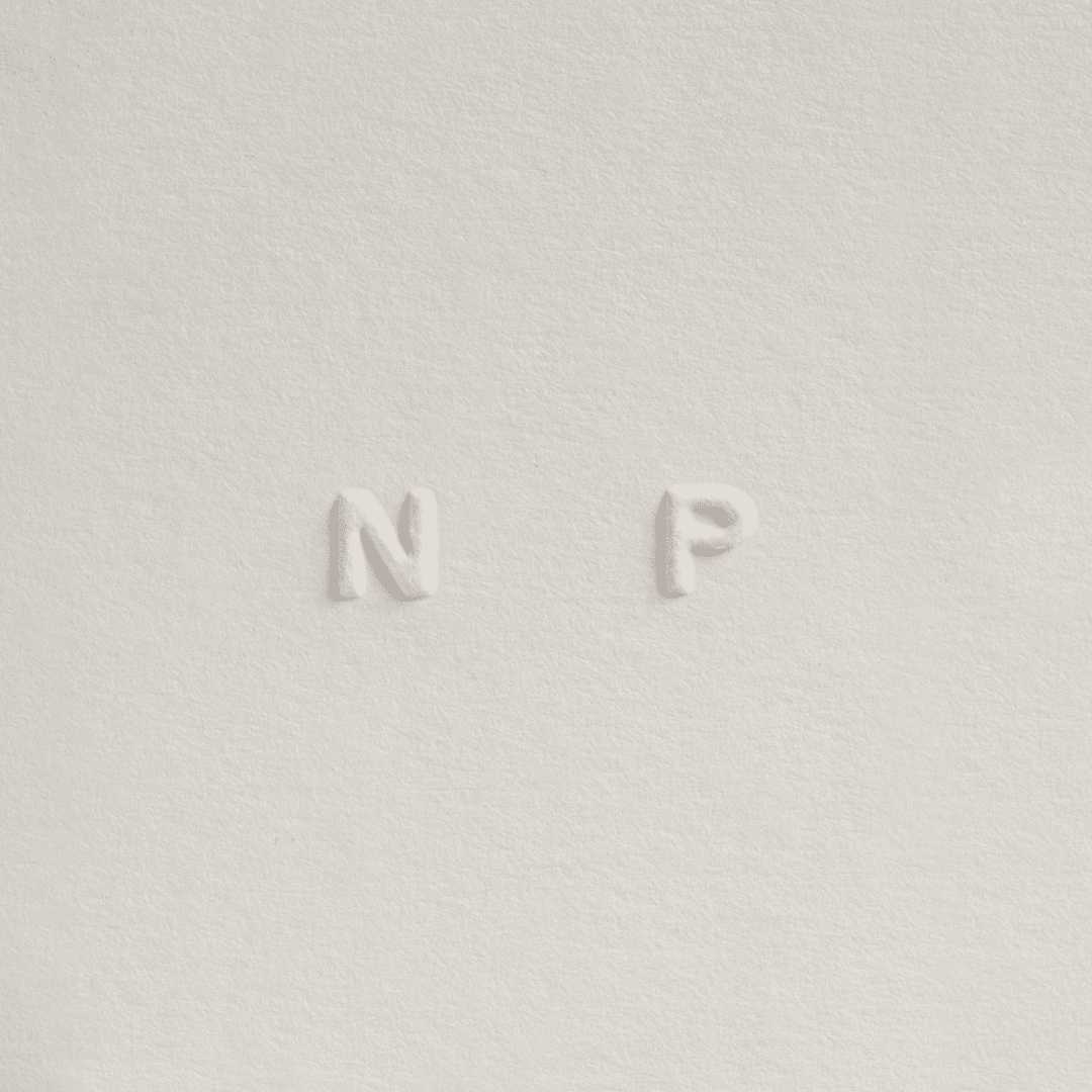 Branding And Website Design For Niccolò Pasqualetti