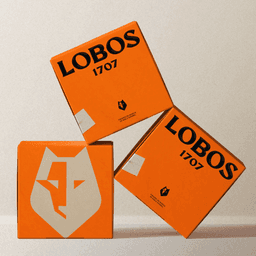 A Brand Strategy For A Tequila Company cover image