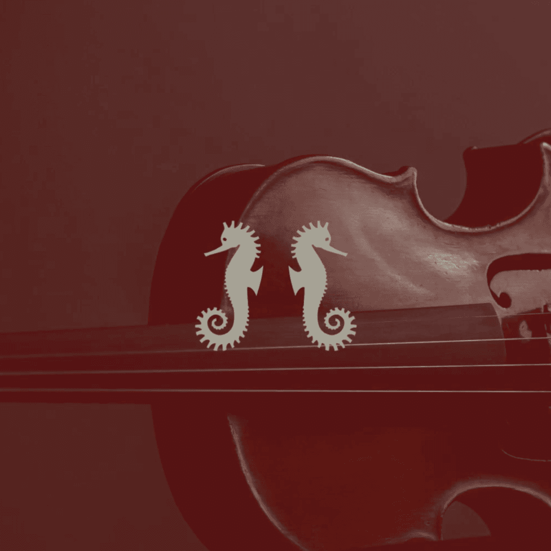 Identity And Website For Rare Violins Of New York