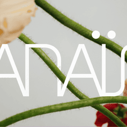 Branding For An Entertainment Company cover image