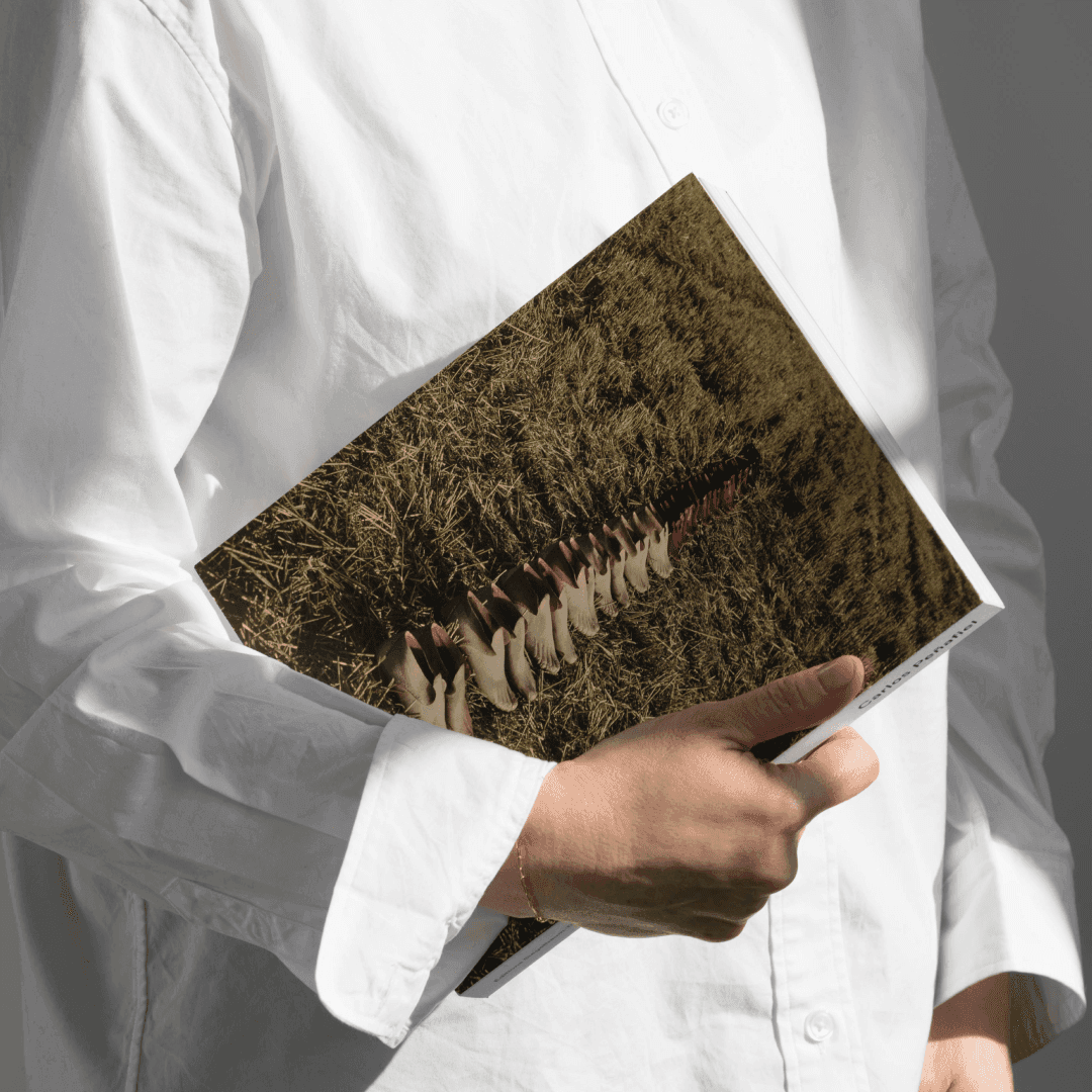 Book Design For Carlos Penafiel