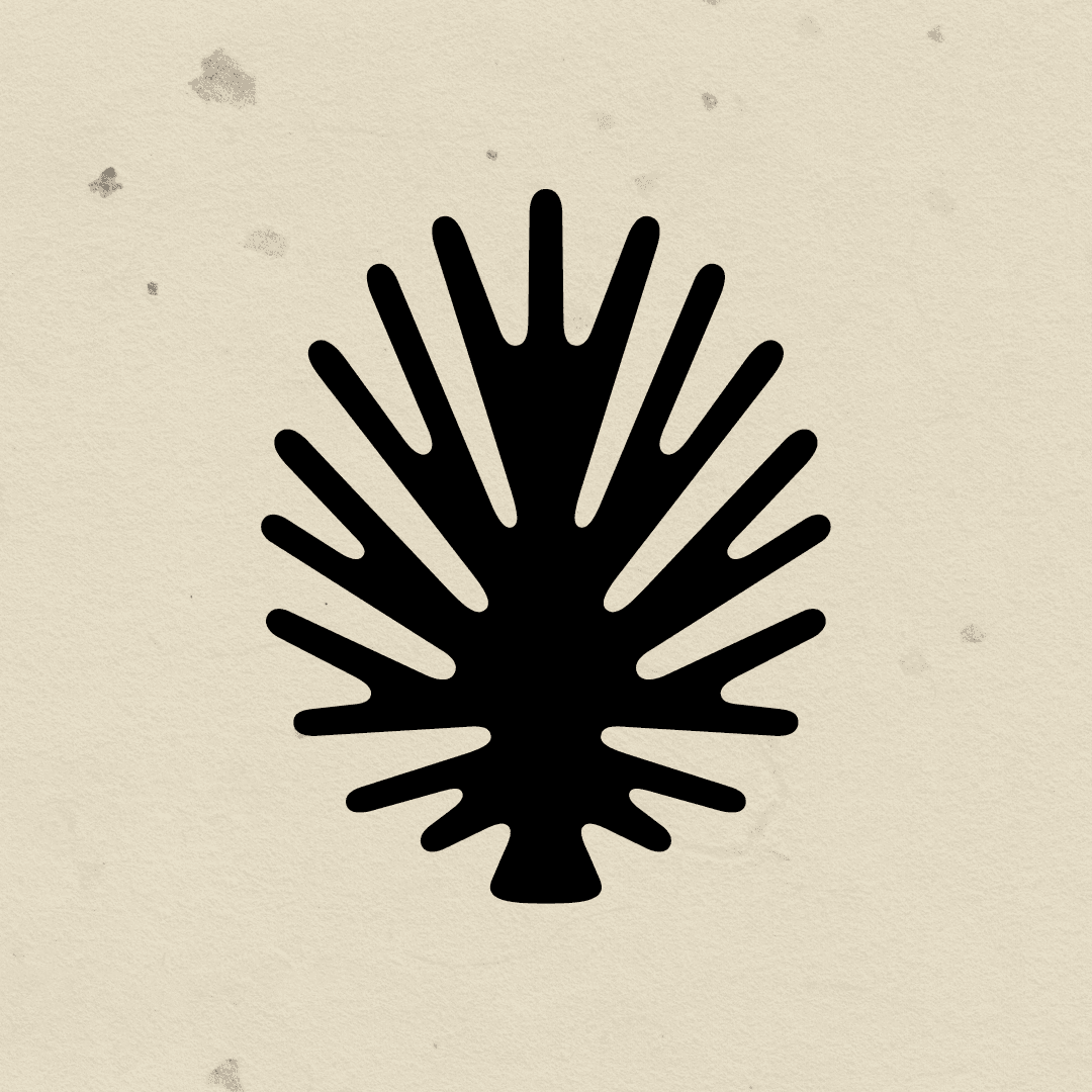 Brand Identity For Maison Sipulova