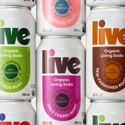 Brand Identity And Packaging System For An Organic Living Soda cover image
