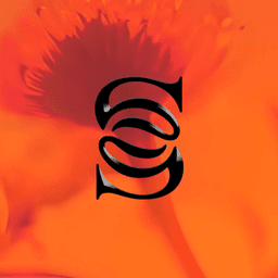 A Wellness Concept For A Luxury Hotel Group cover image