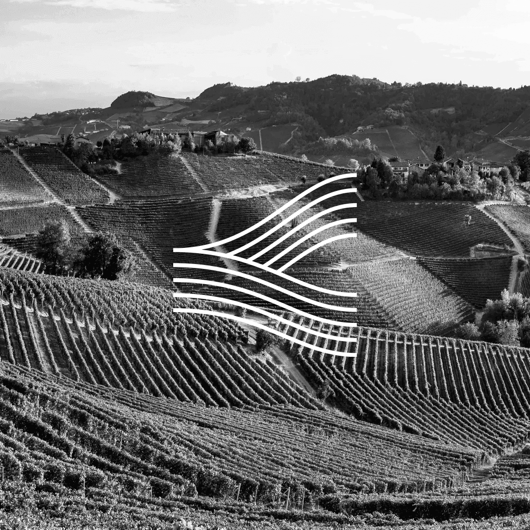 Visual Identity For Atlas Wine Studio