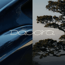 Brand Development For A Luxury Automotive Startup cover image