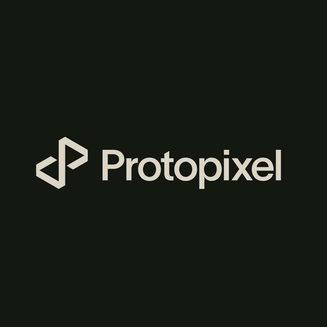 Brand Identity And Digital Strategy For Protopixel