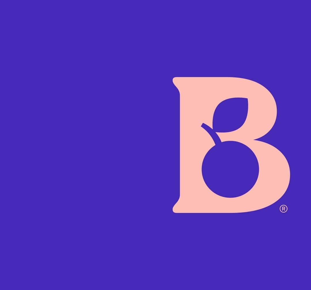 Brand Identity For Blueberry Academy