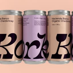 Packaging Design For An Innovative Canned Wine Brand cover image