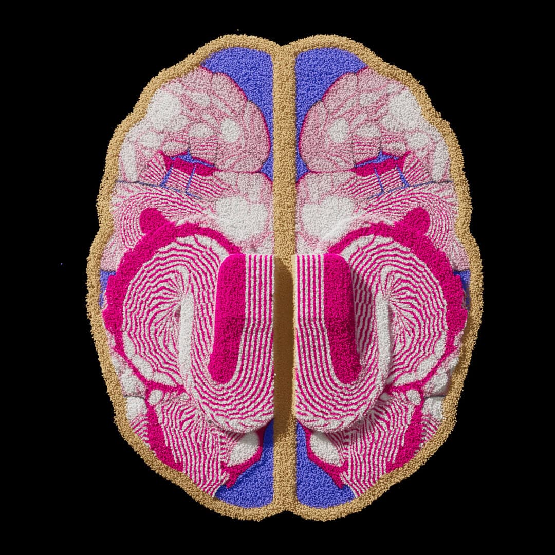 Motion Exploration For Consciousness Study