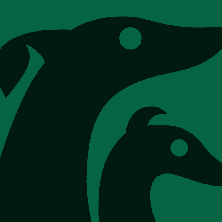 Brand Identity For Deel Sighthound Rescue