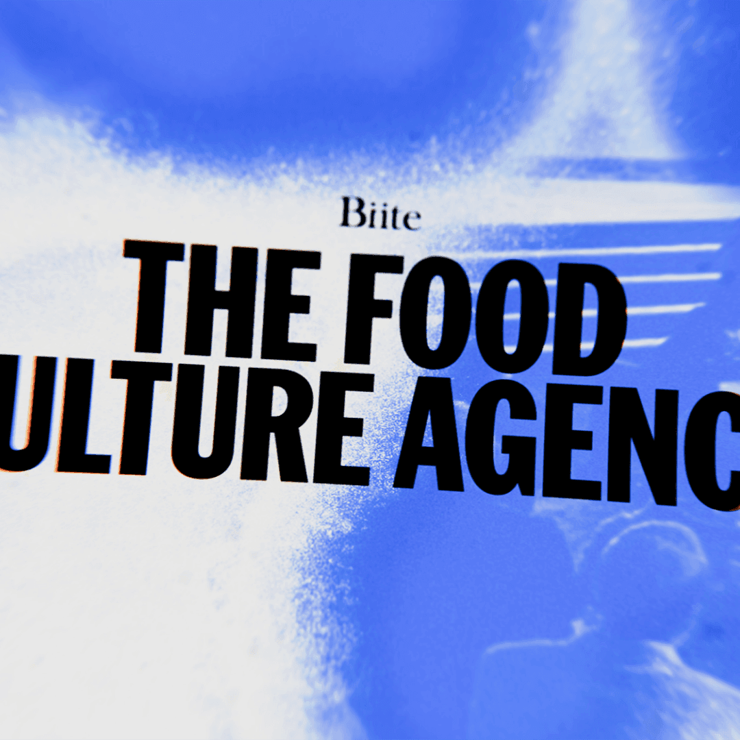 Brand Identity For Biite Fermentation Studio