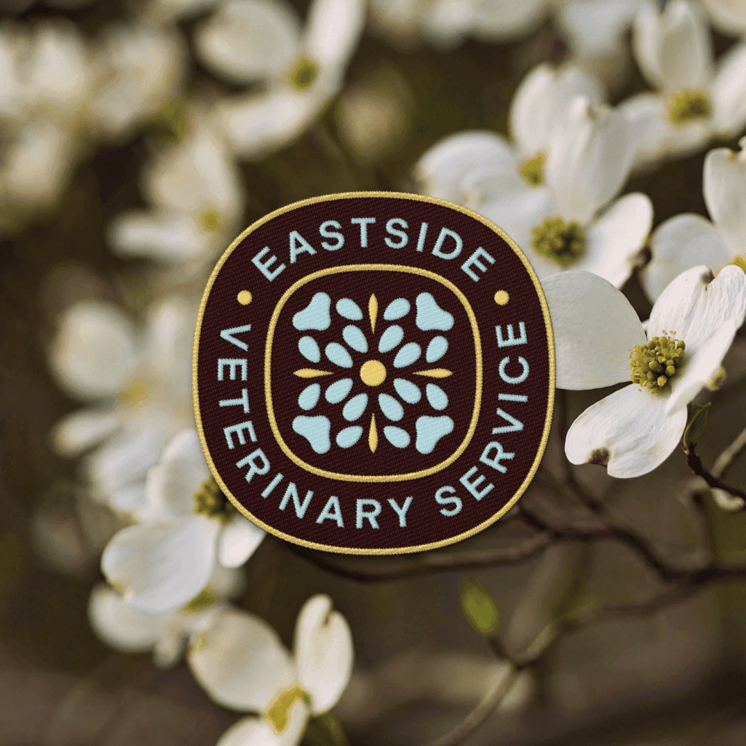 Brand Identity And Website For A Veterinary Clinic