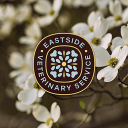 Brand Strategy And Visual Identity For A Full-service Veterinary Practice cover image