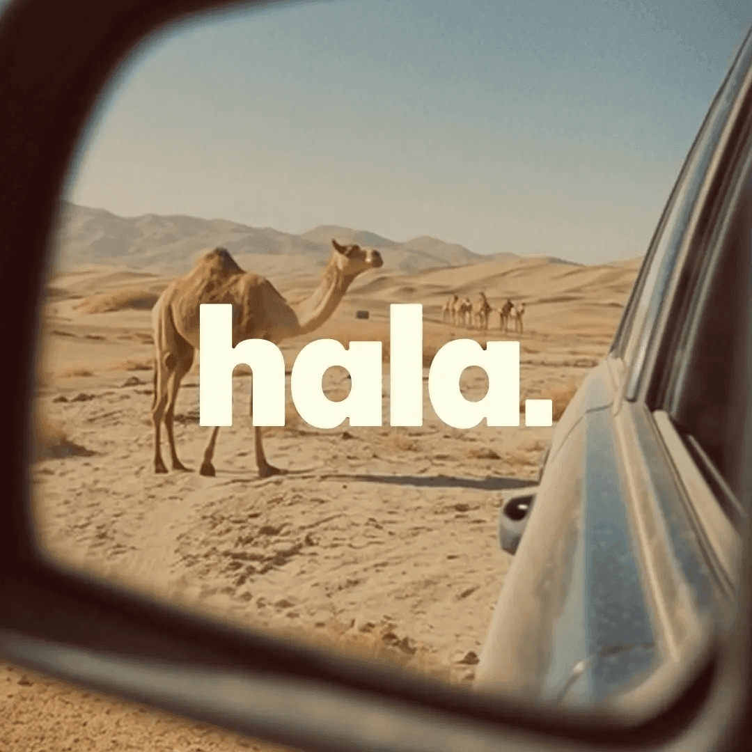 Brand Identity For Uae E-hailing Service Hala