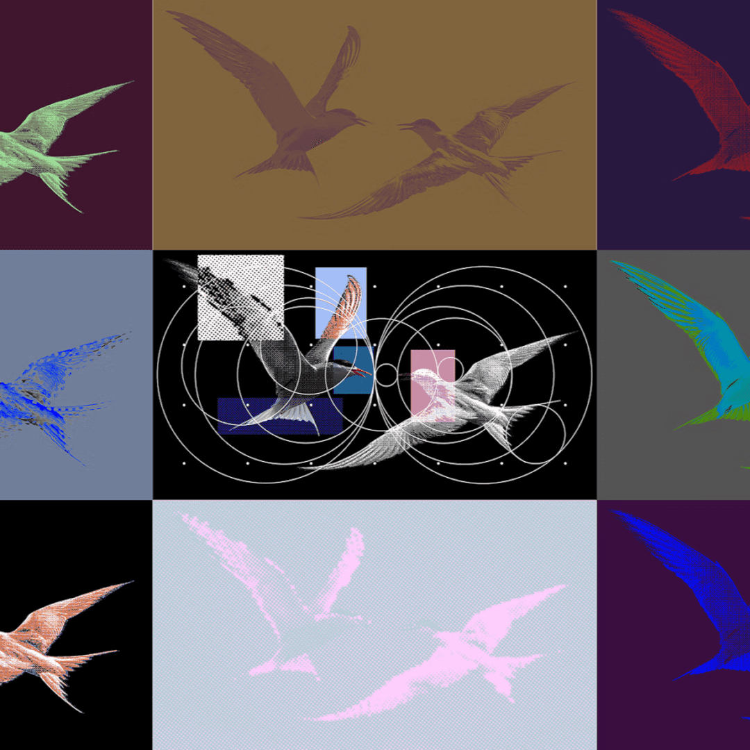 Launch Film For Nothing Playground