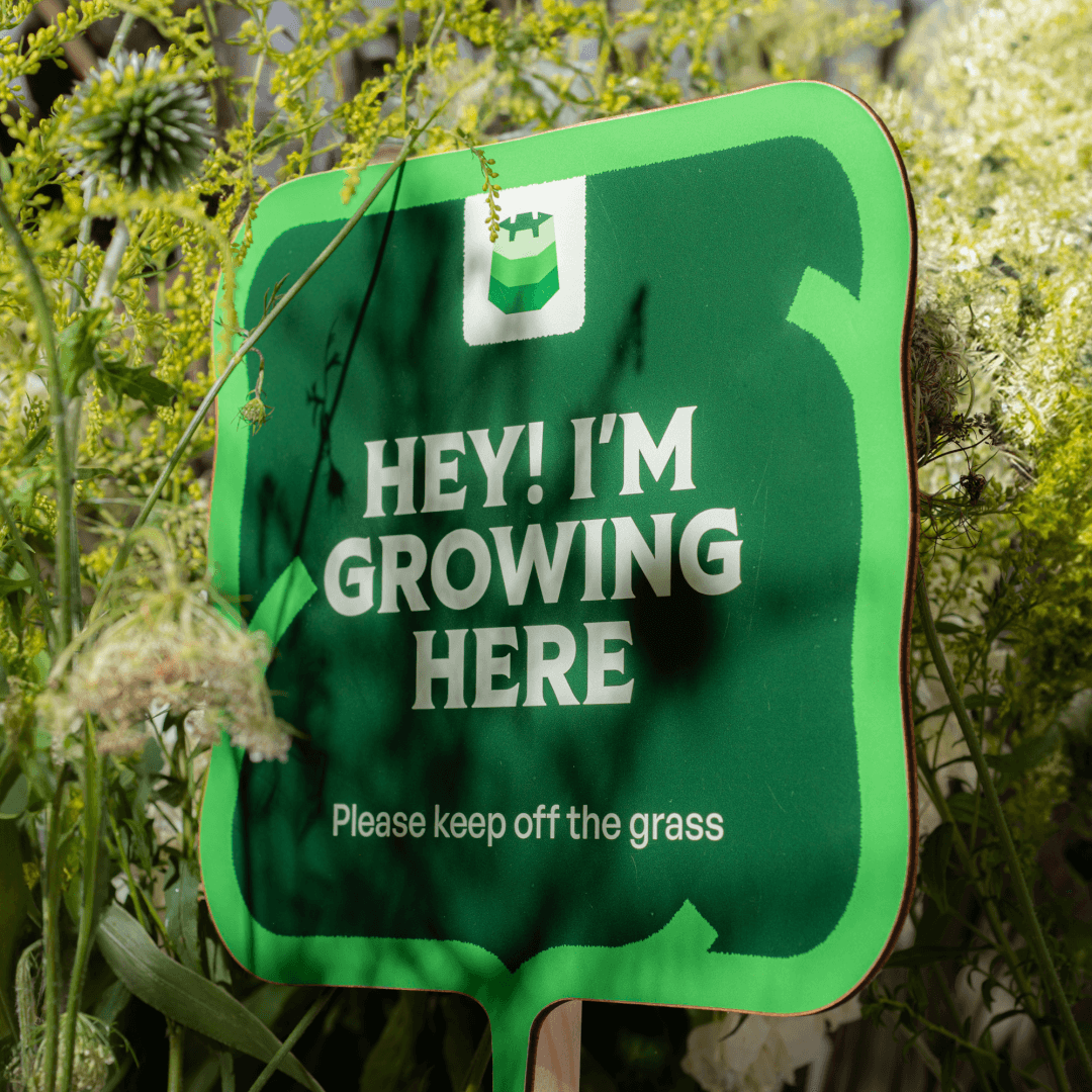 Visual Identity For Vilnius European Green Capital