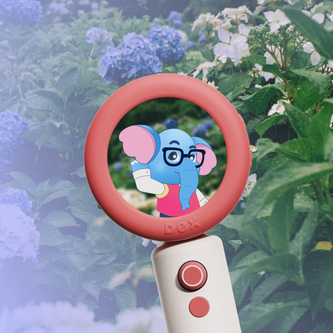 Character Design And Animation For A Children's Language-learning Camera