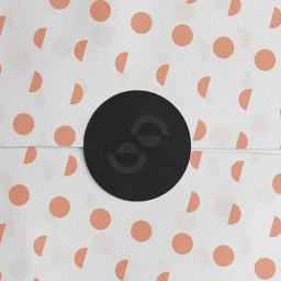 Brand Identity For A High-end Accessories Brand cover image