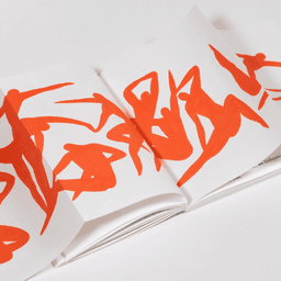 Exhibition Design For The Ovaries Of The Poppies cover image