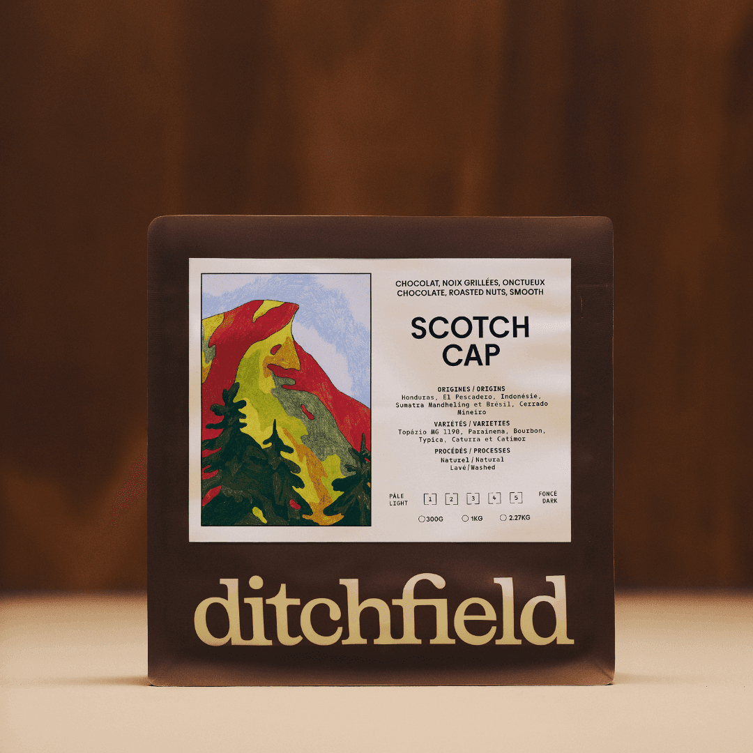 Brand Identity For Ditchfield Microtorréfacteur