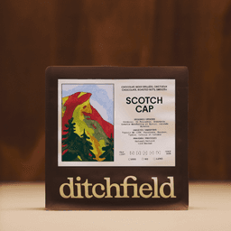 Brand Identity For Ditchfield Microtorréfacteur cover image