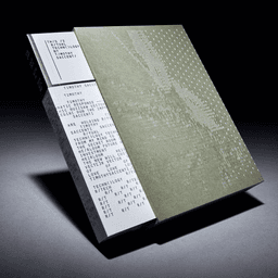 Book Design For Timothy Saccenti cover image