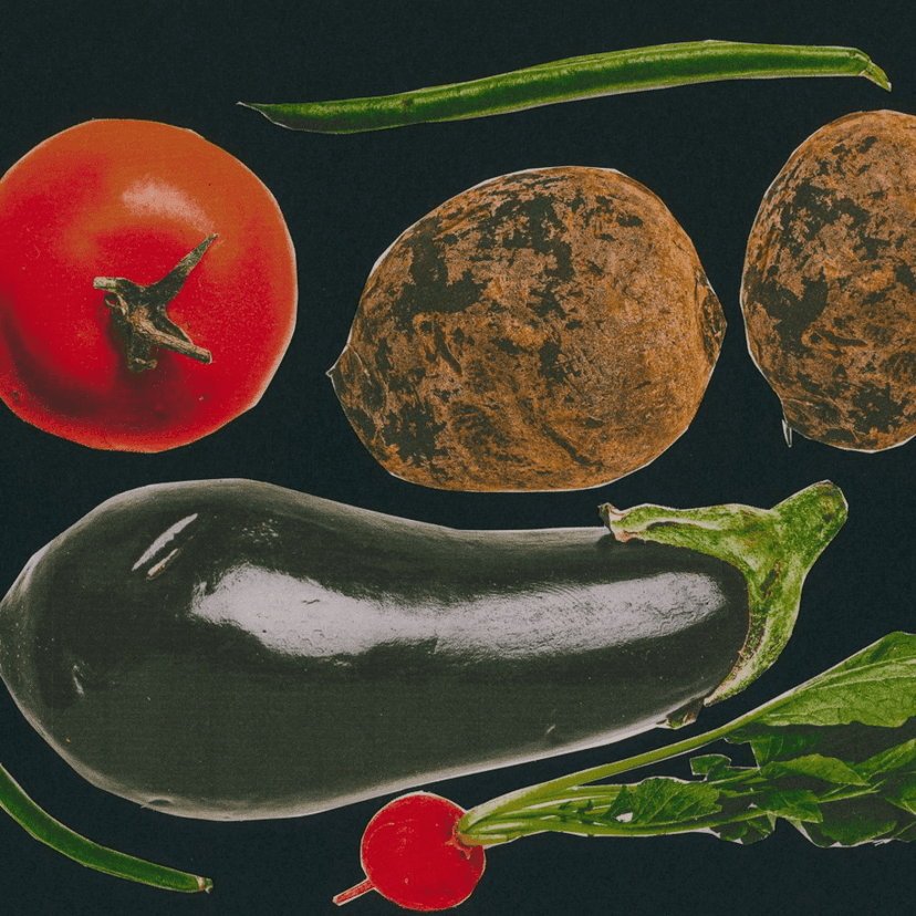 Ffern The Seed Guardians