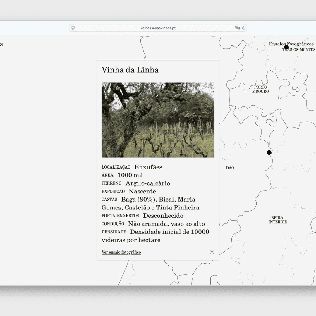 Website Design For Old Are The Vines