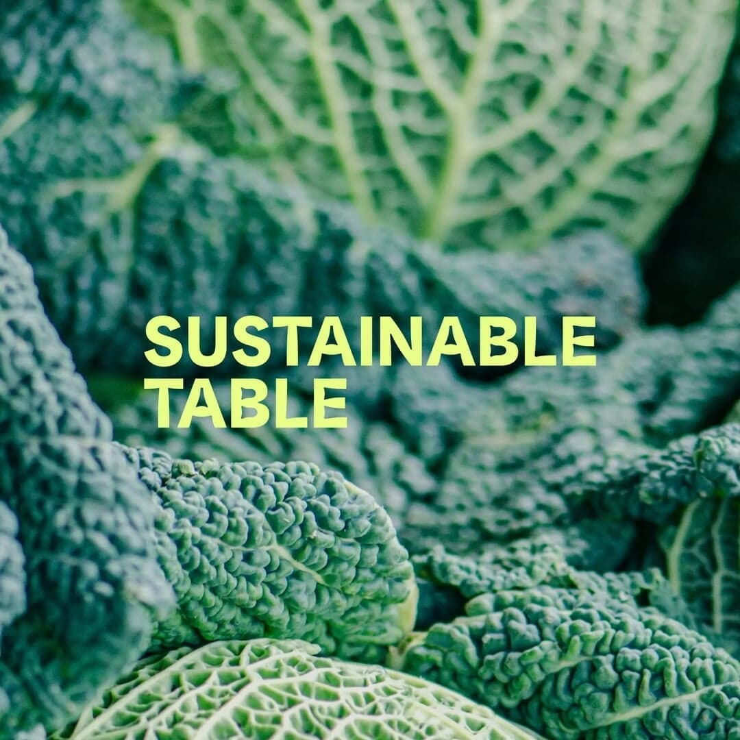 Brand Identity And Website For Sustainable Table