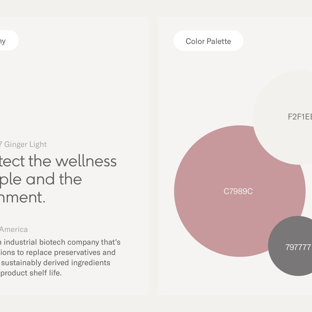Website Design For Industrial Biotechnology Company Curie Co