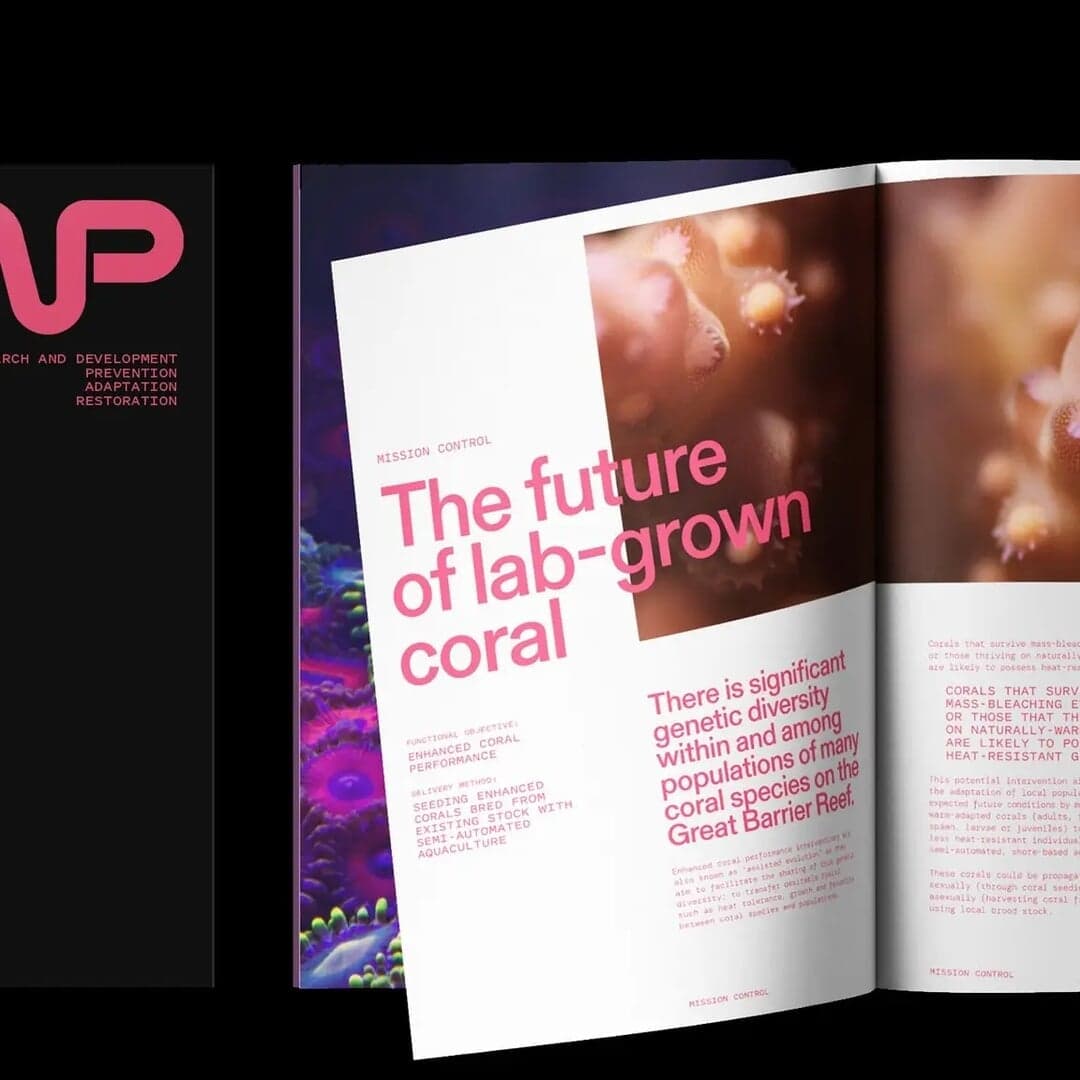 Brand Identity For Reef Restoration And Adaptation Program